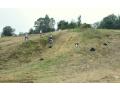K1024_DSC_0116.JPG
